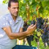 Mitglied der freien Weinbauern Südtirol 